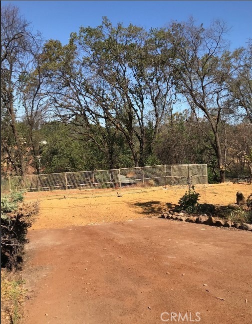 a view of a yard with trees