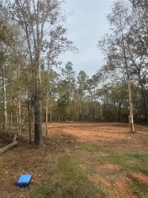 a view of outdoor space with trees