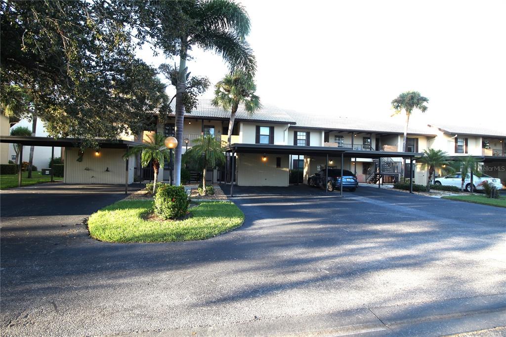 a front view of a house with a yard and tree s