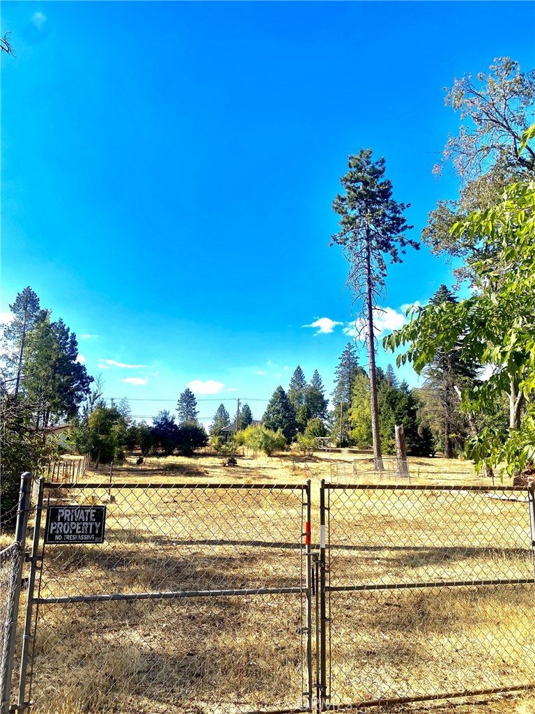 a view of a yard with a house