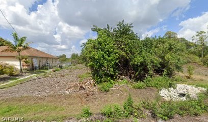 a view of a yard with plants and trees