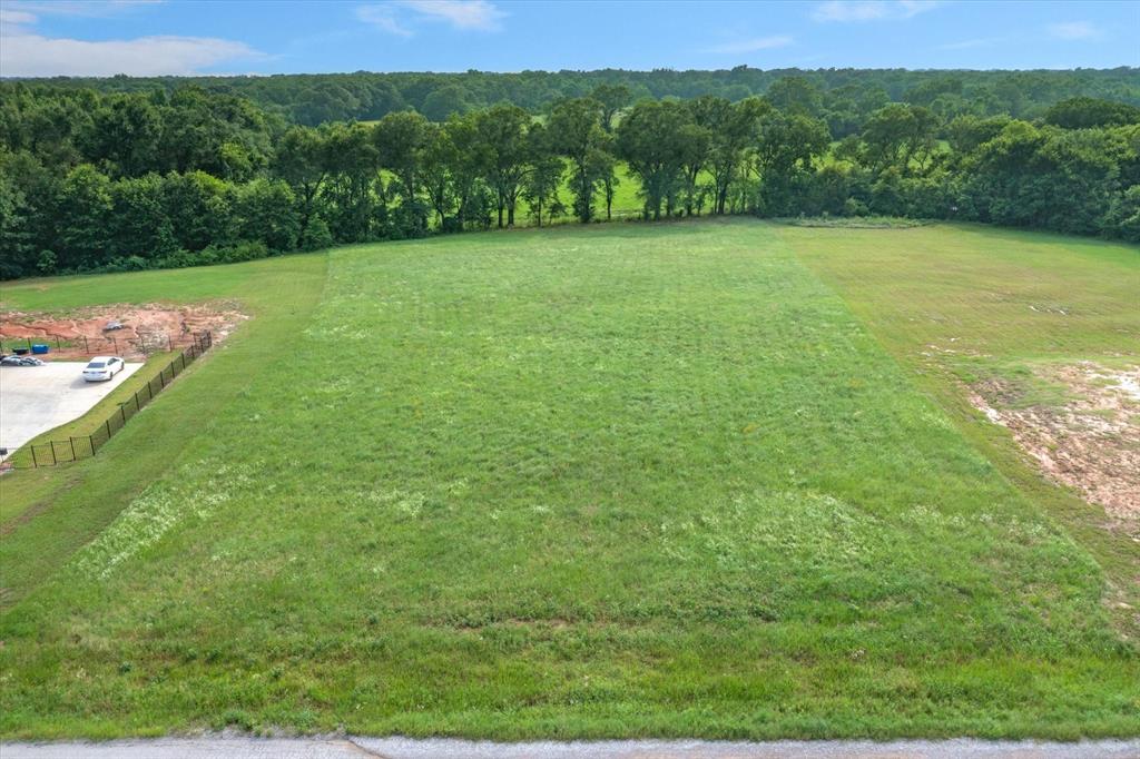 a view of a field with an ocean