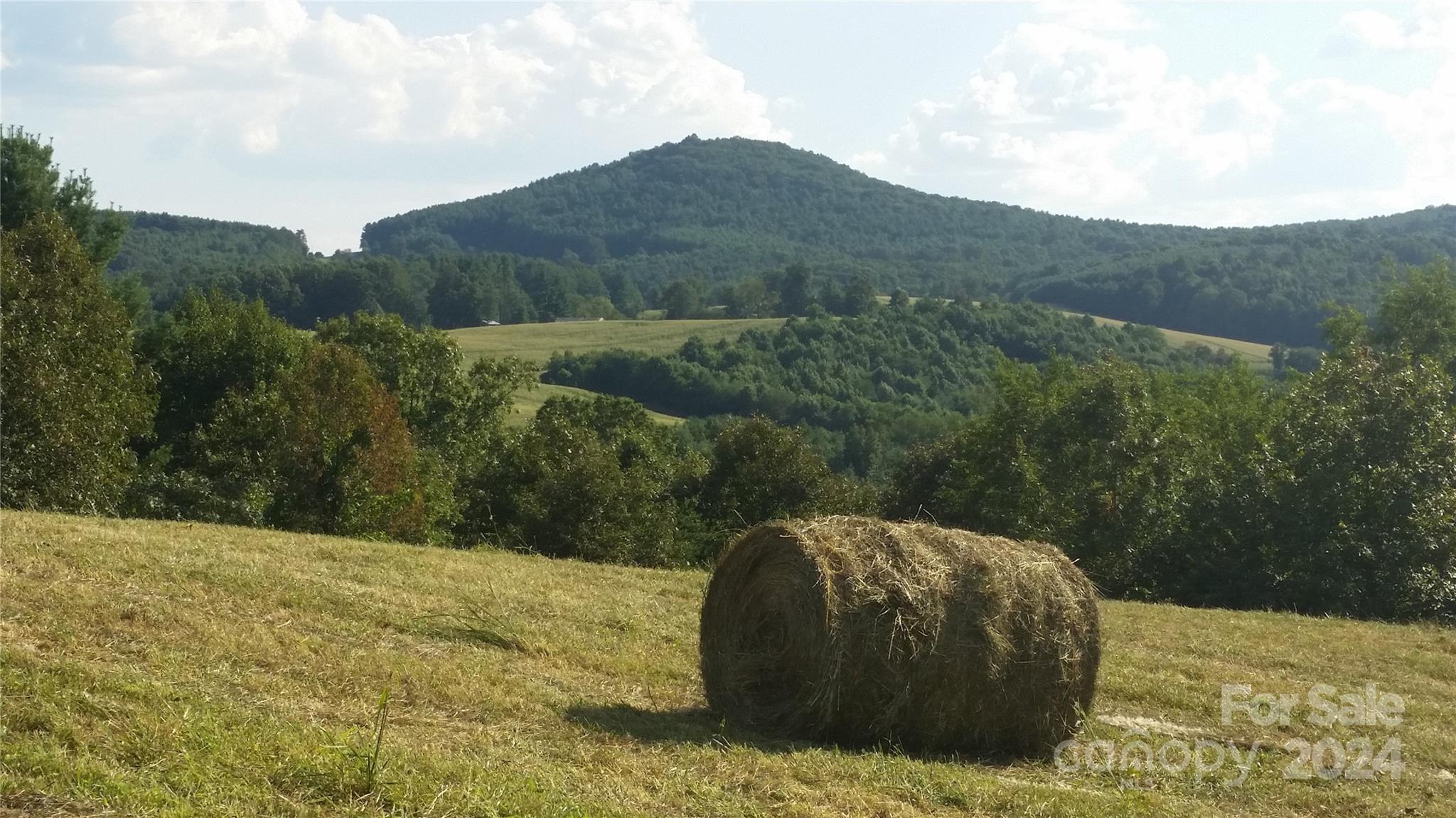 a view of a mountain in the distance