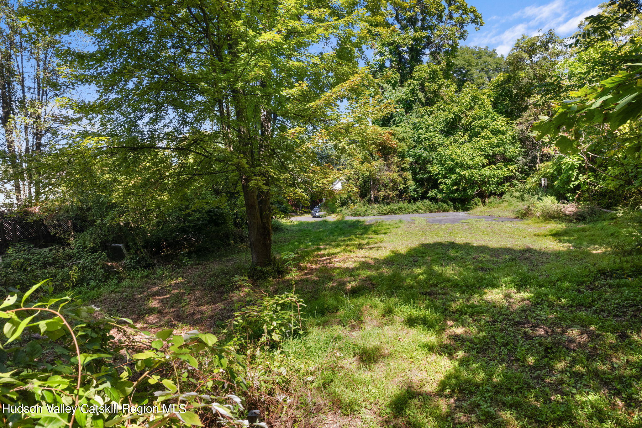 a view of yard with green space