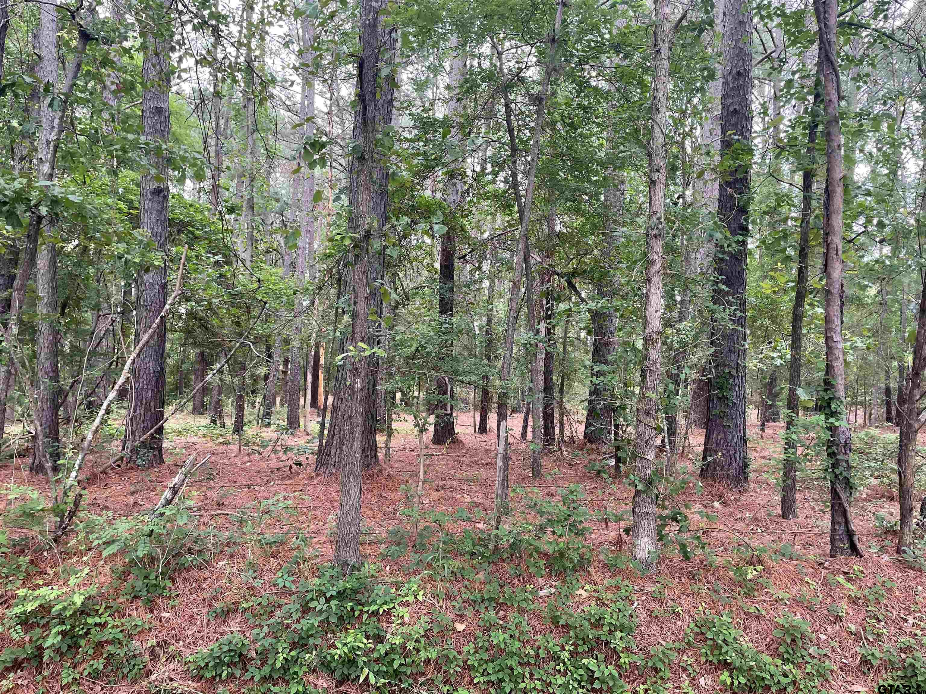 a view of outdoor space with lots of green space and trees