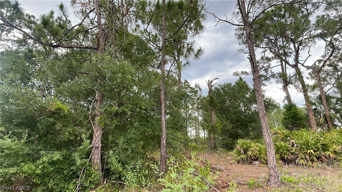 New Home Construction Enjoy The Early Fall in Southwest Florida