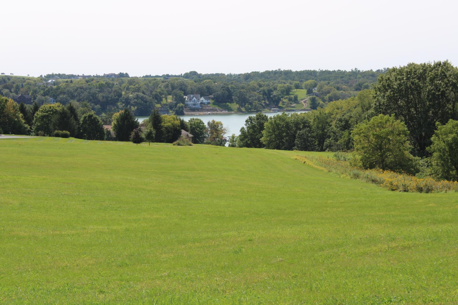 a view of a field with an ocean