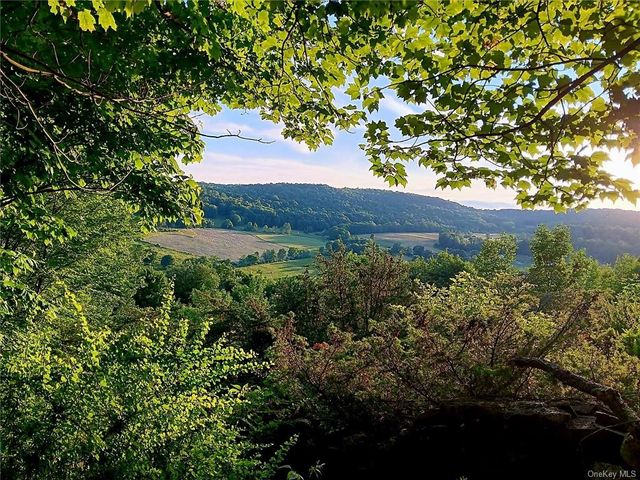 $315,000 | 94 Pleasant Valley Road | Callicoon