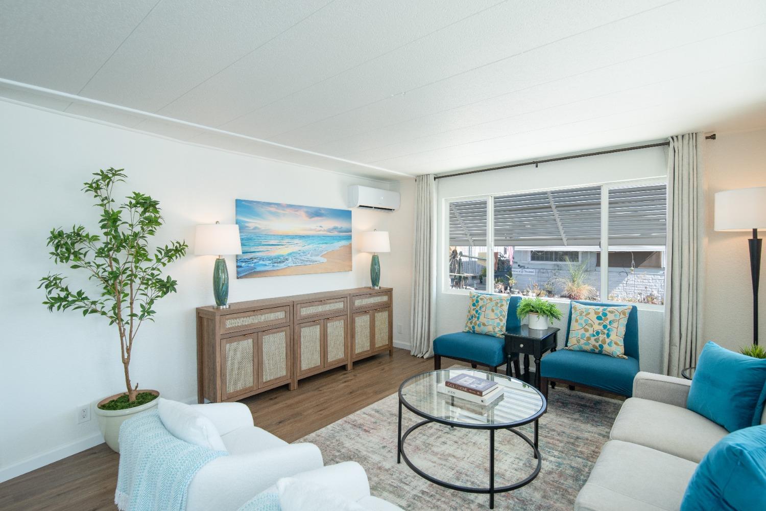 a living room with furniture and a potted plant