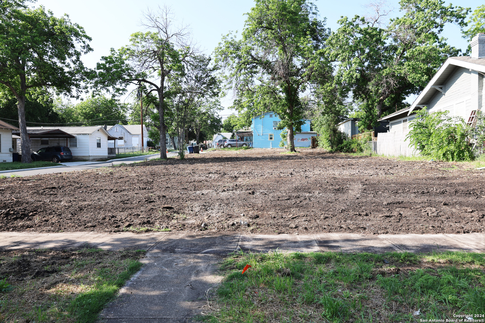 a view of a backyard with large trees