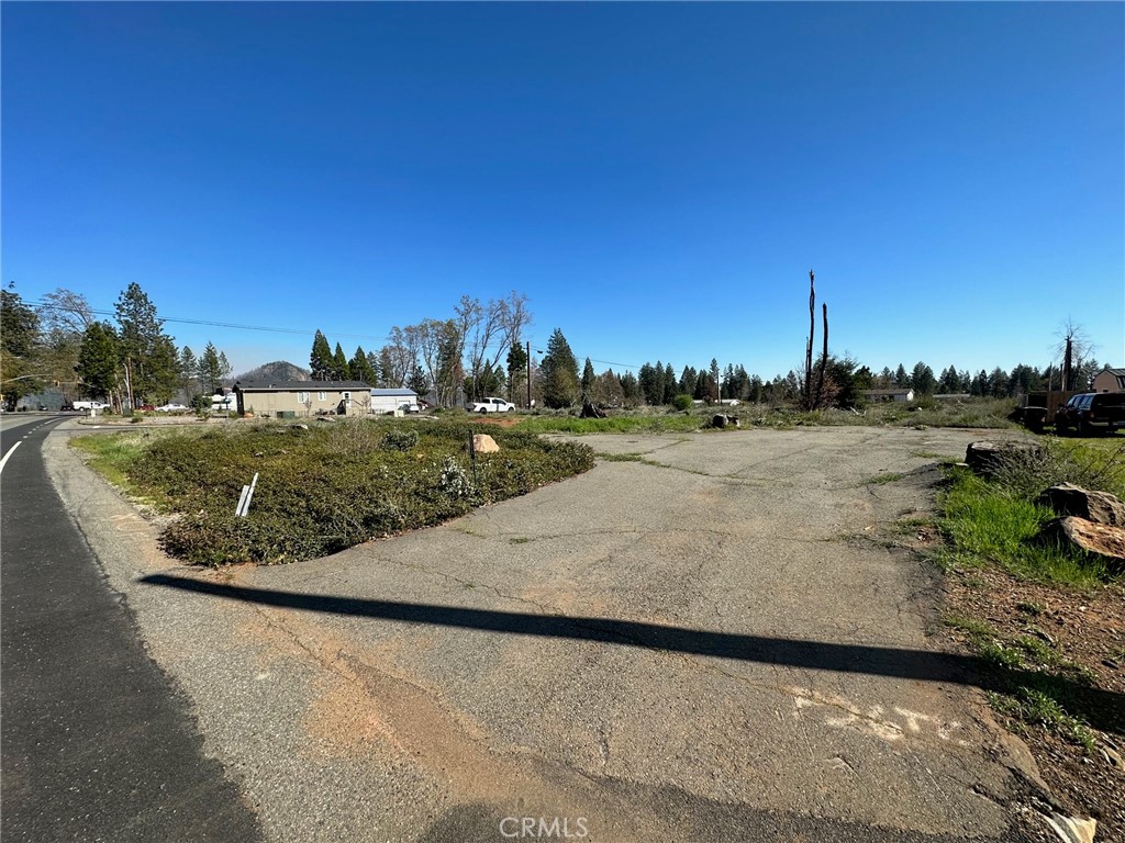 a view of a dry yard with a tree and a big yard