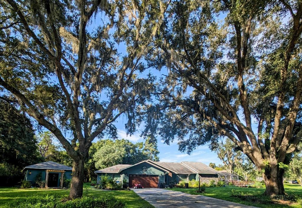 a wooden house with large trees