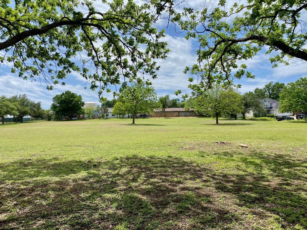 a view of a green field with lots of bushes