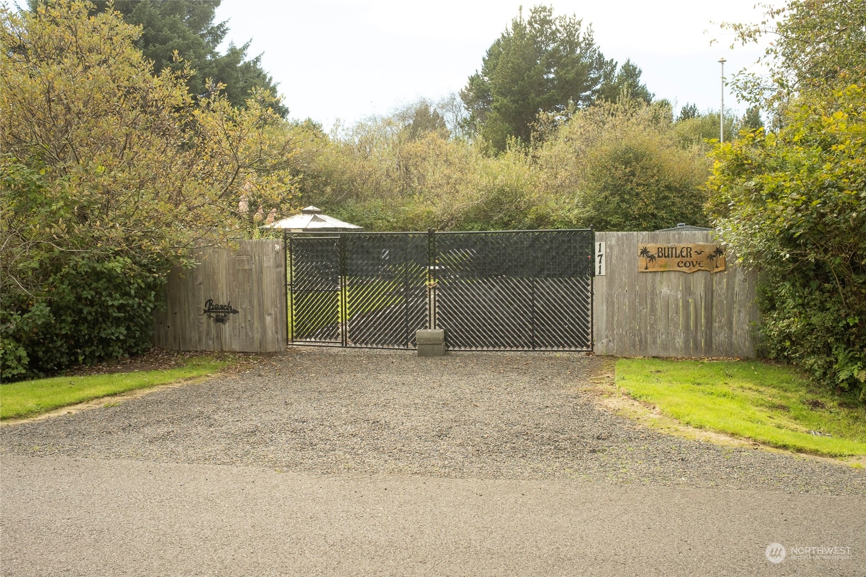 a backyard of a house with large trees and a small yard