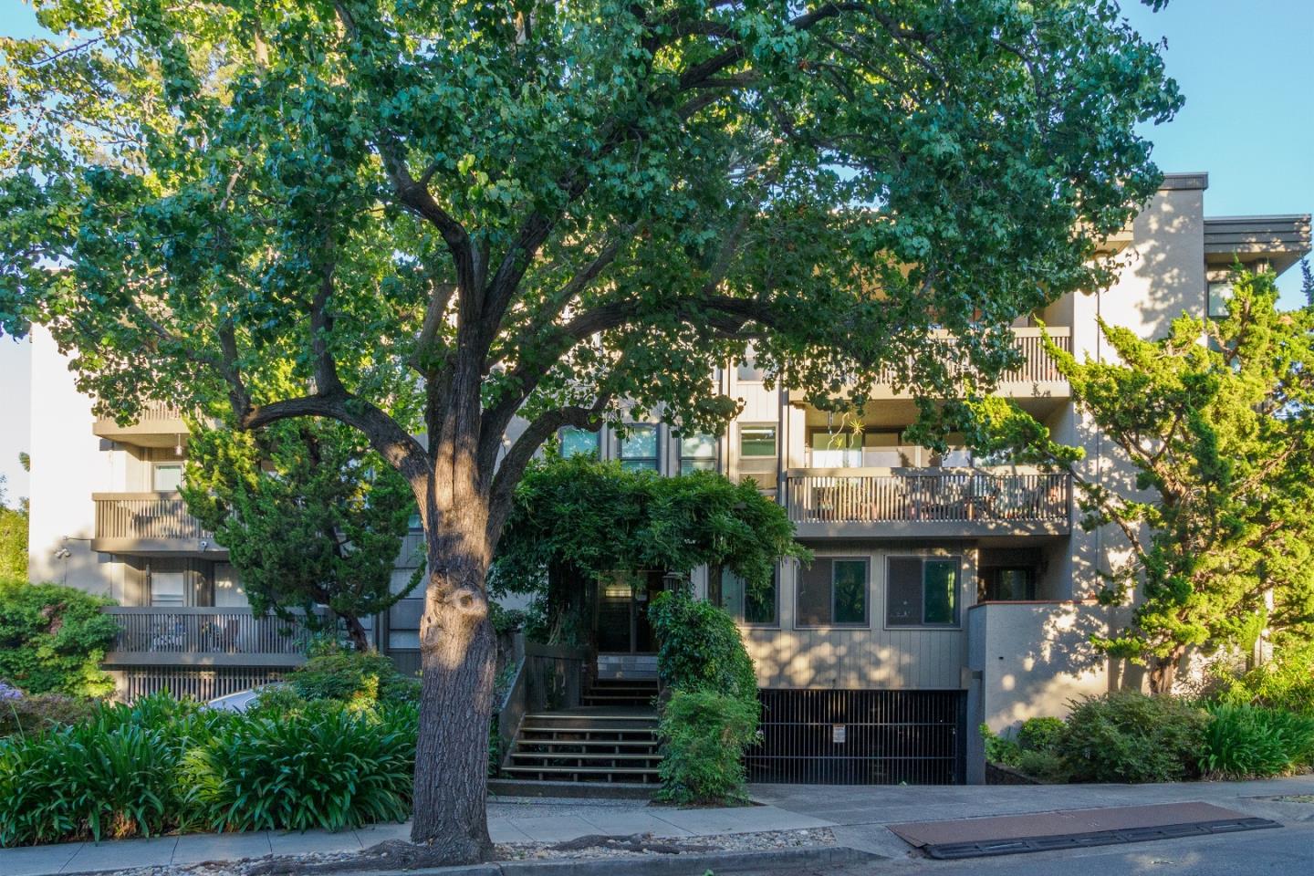 a front view of a house with a tree