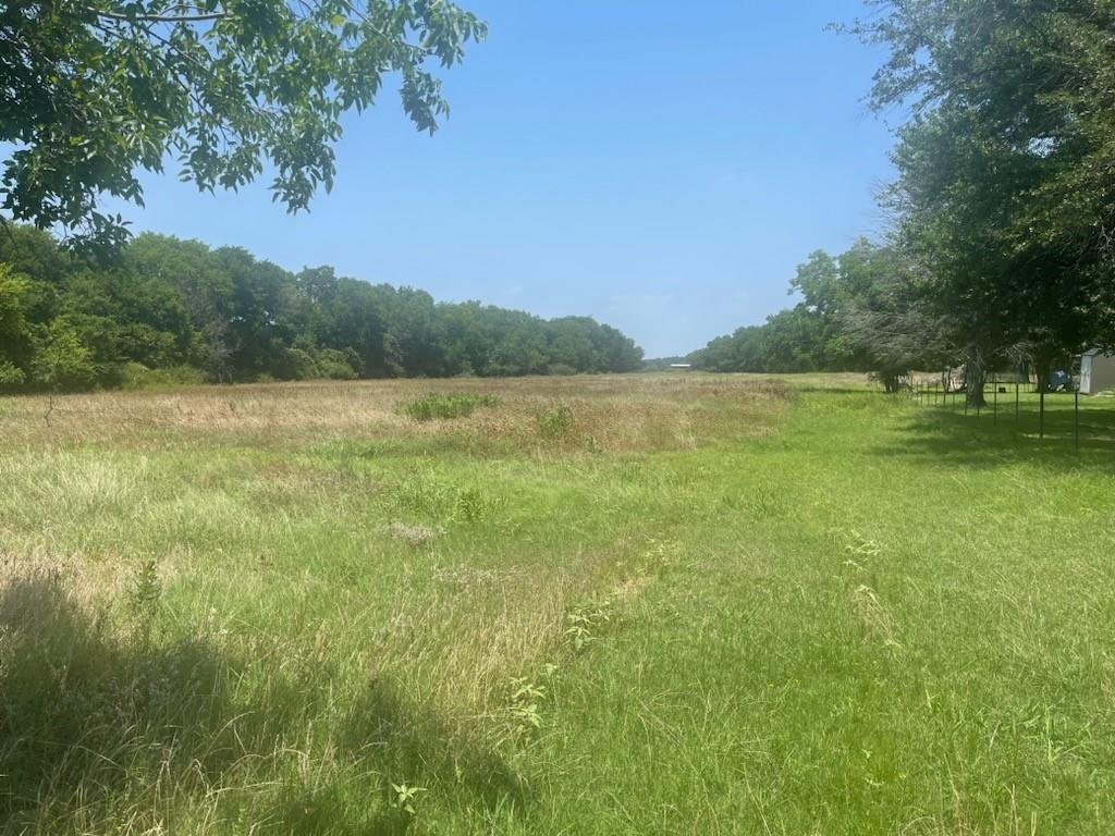 a view of an ocean from a yard