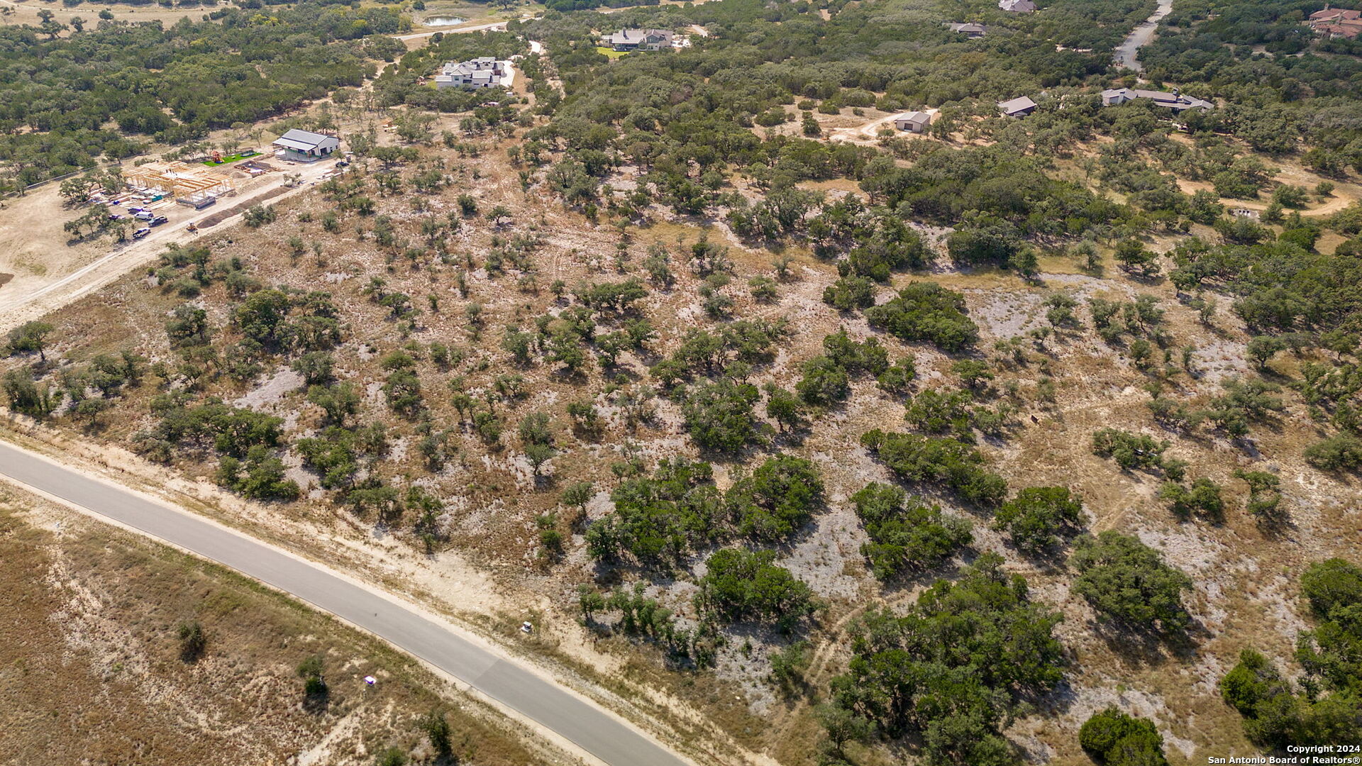 a view of a yard with a tree