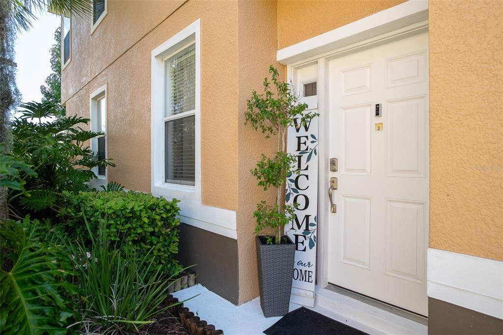 view of a potted plants next to a door