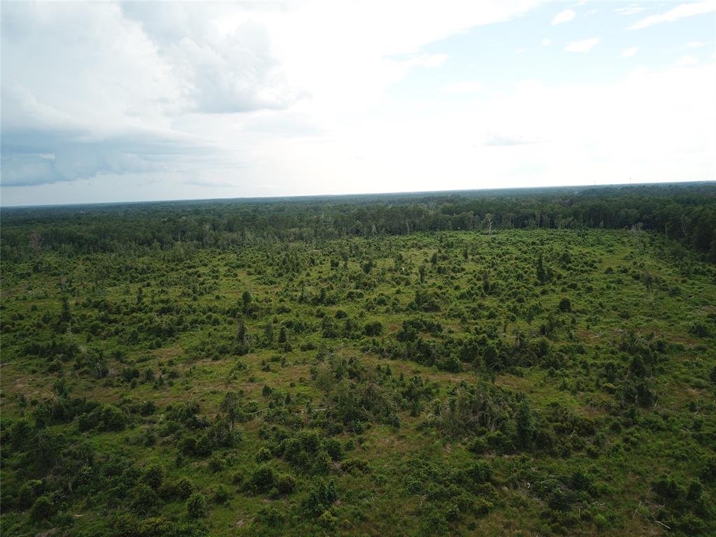 a view of a green field with lots of trees