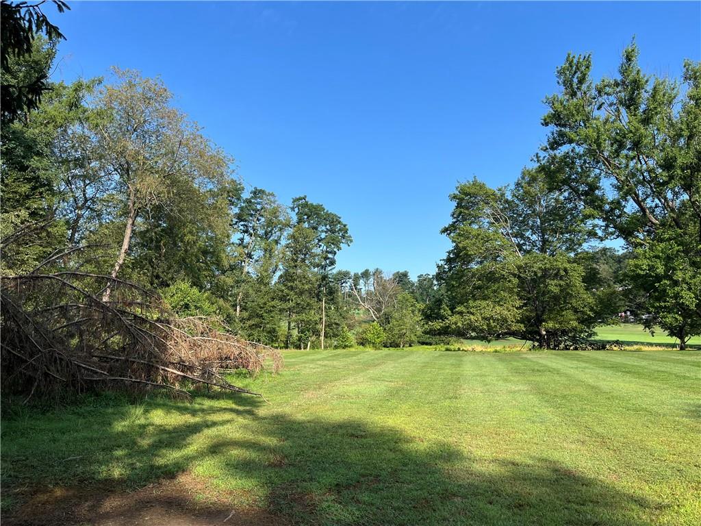 a view of yard with green space