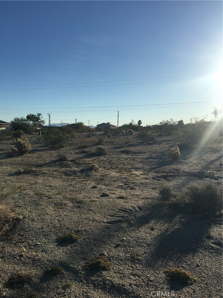 a view of a dry space with lots of trees