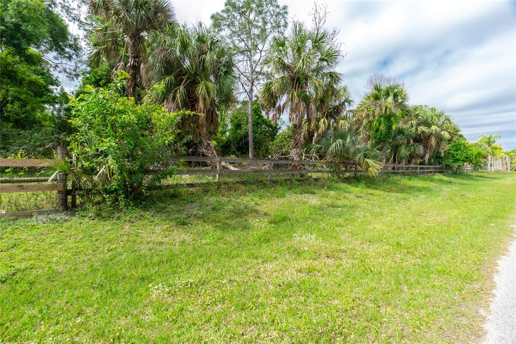 a backyard of a house with plants and large trees