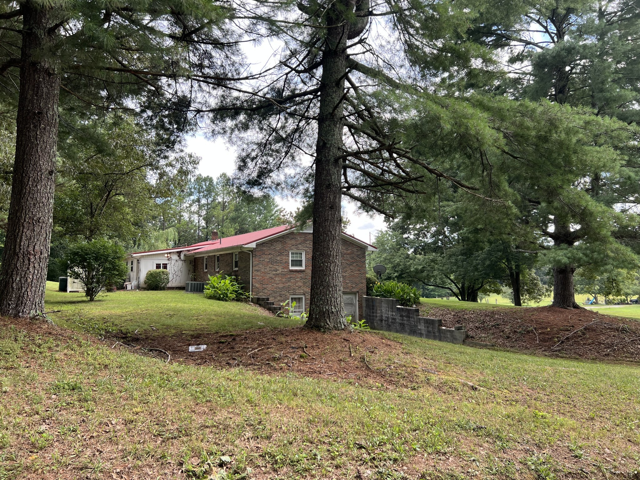 a view of a backyard