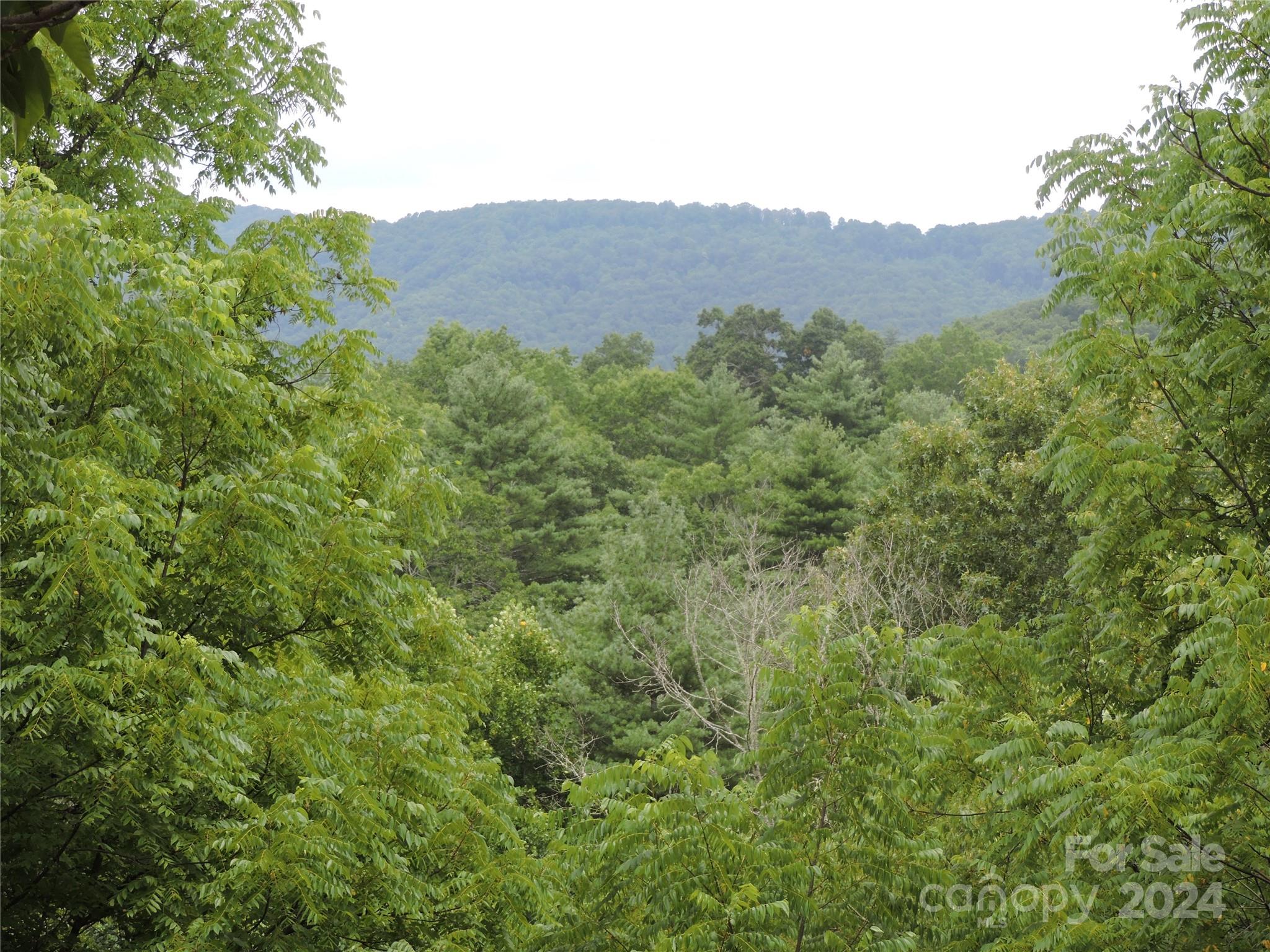 a view of a mountain range with tall trees