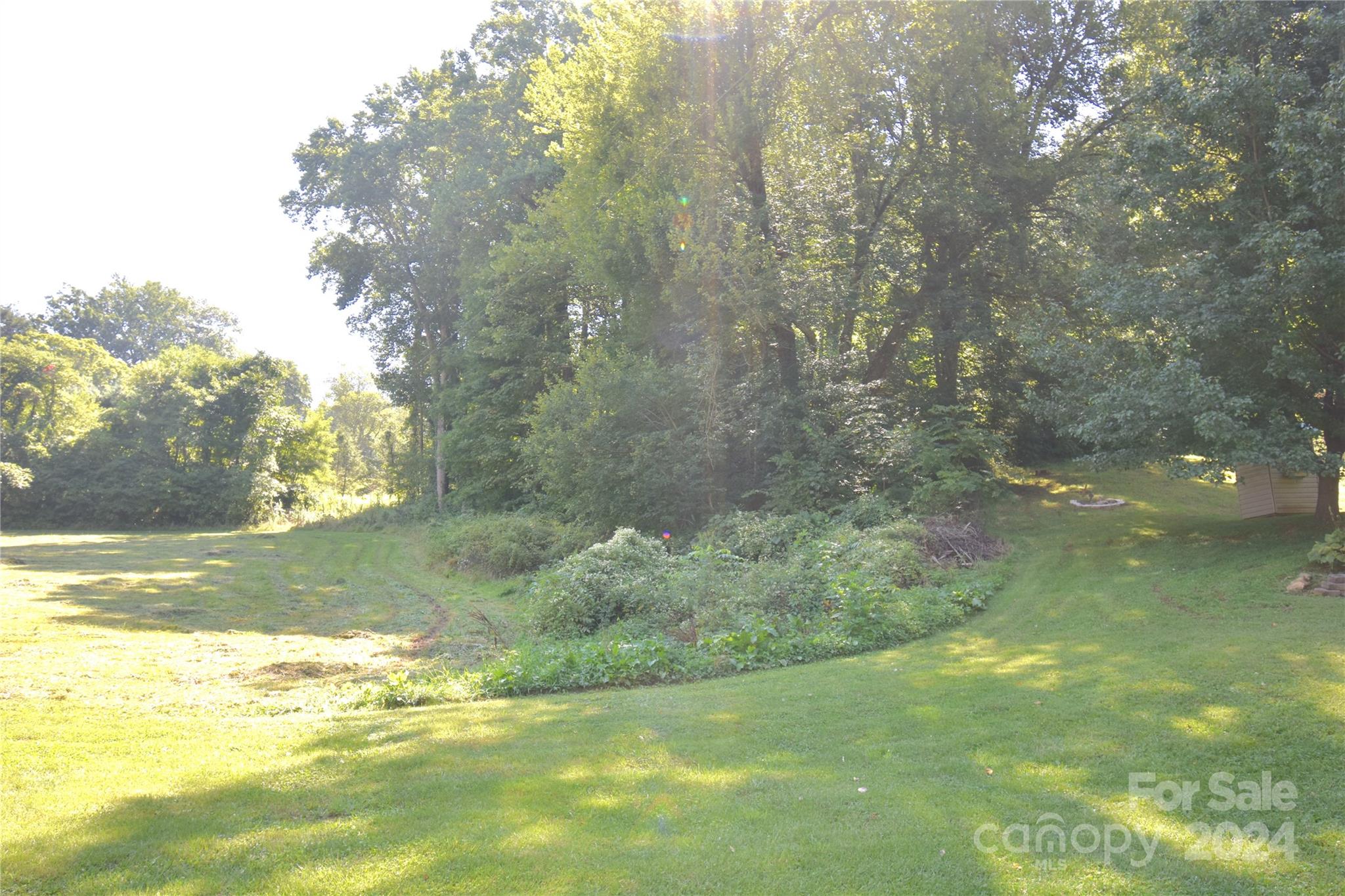 a view of a yard with a tree