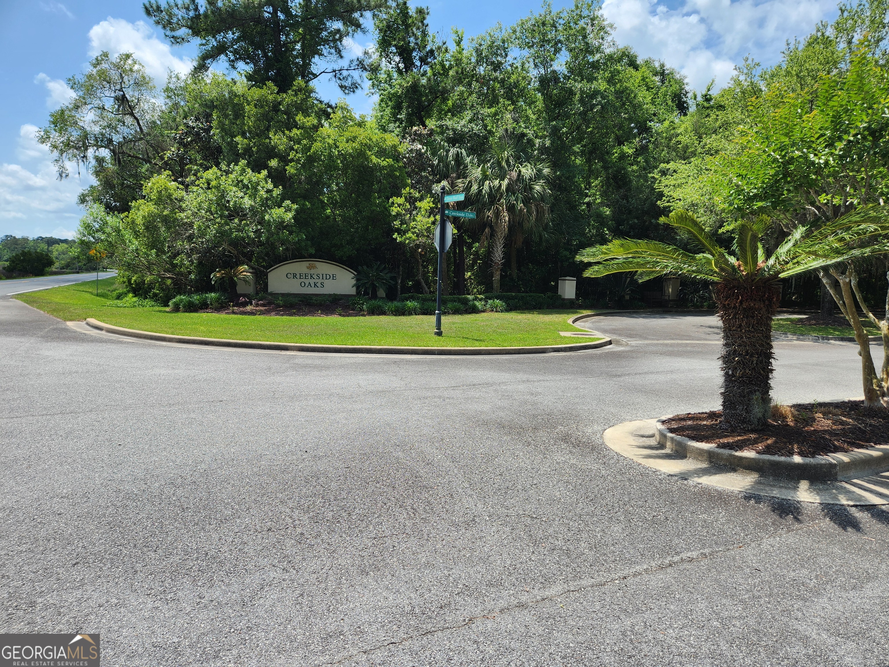 a small garden with trees in the background