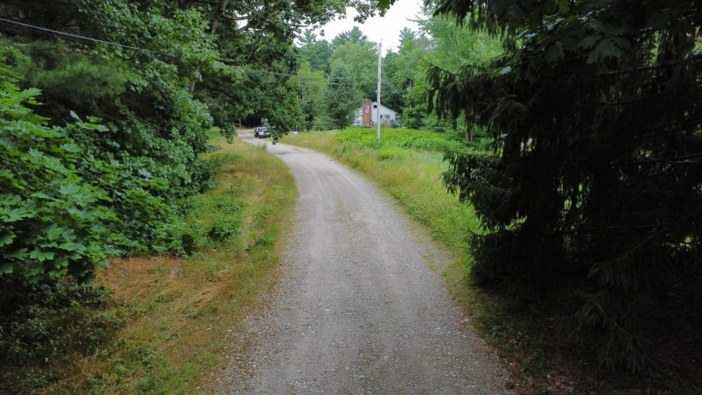 a view of a pathway both side of yard