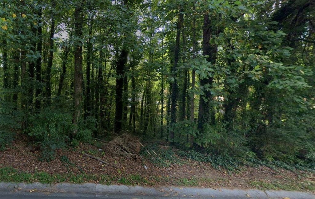 a view of a forest with trees