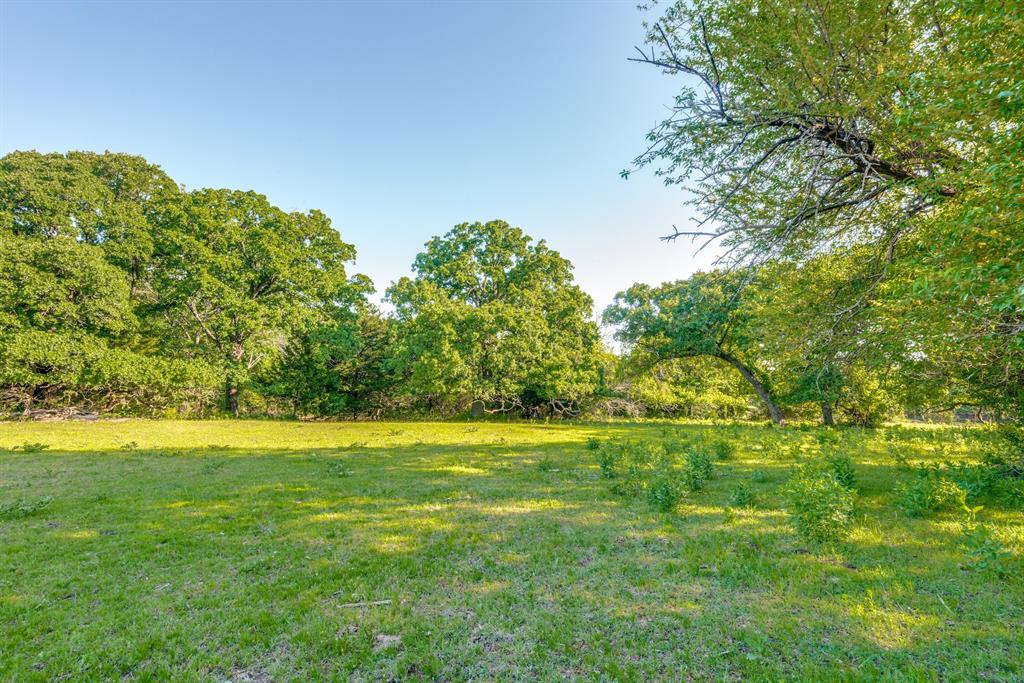 a view of a big yard with lots of green space and plants