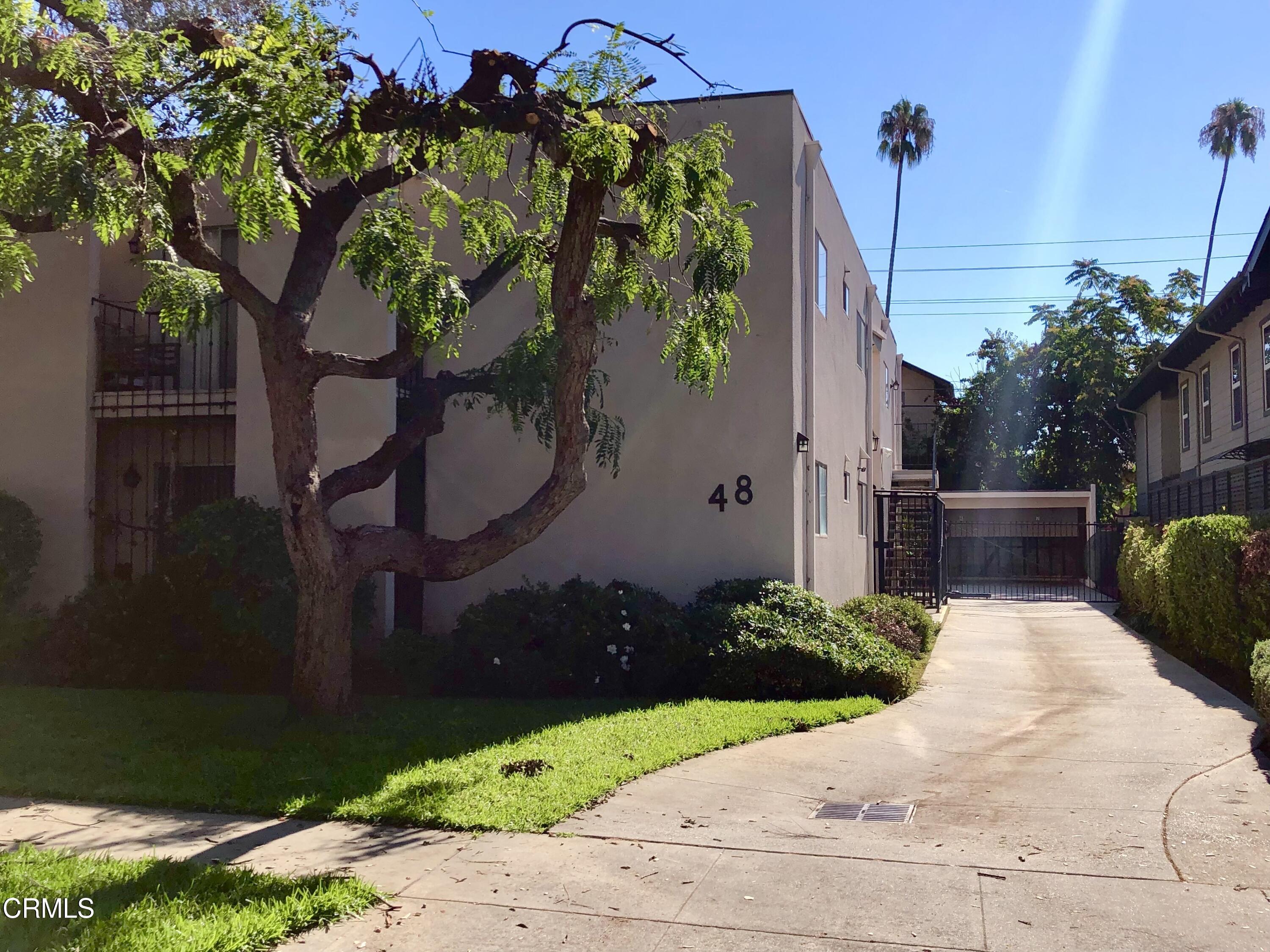 a view of a backyard with potted plants