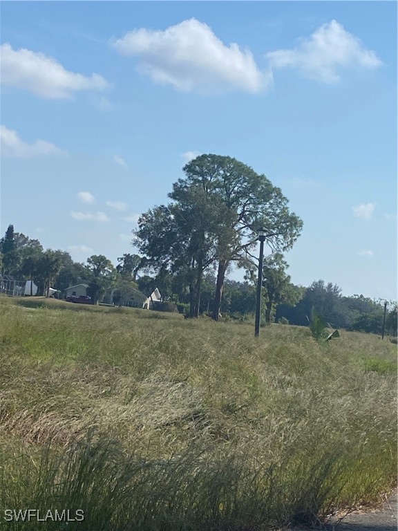 a view of a field with trees in background