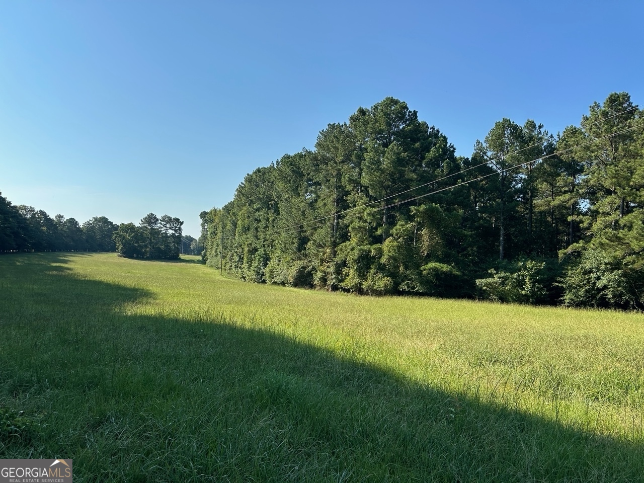 a view of a field with a tree in the background