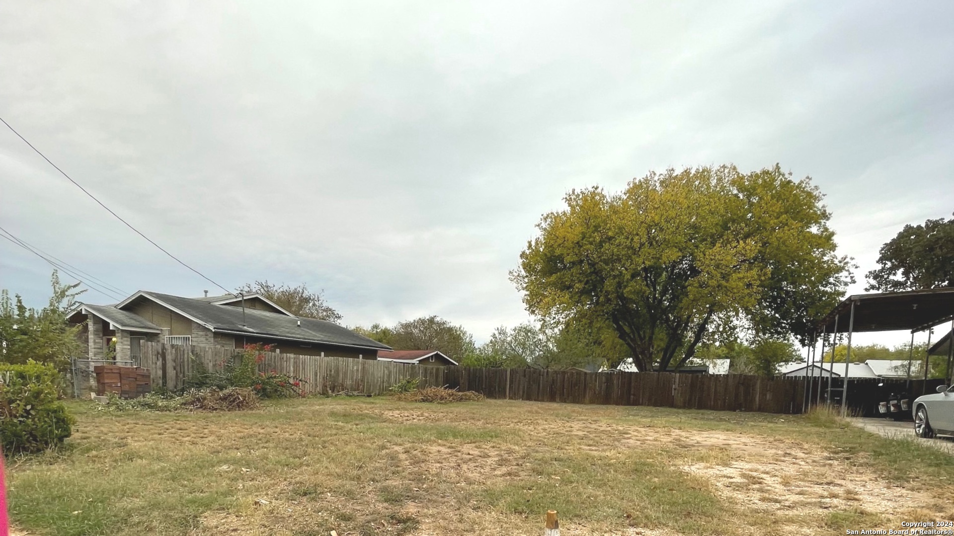 a view of a yard with trees