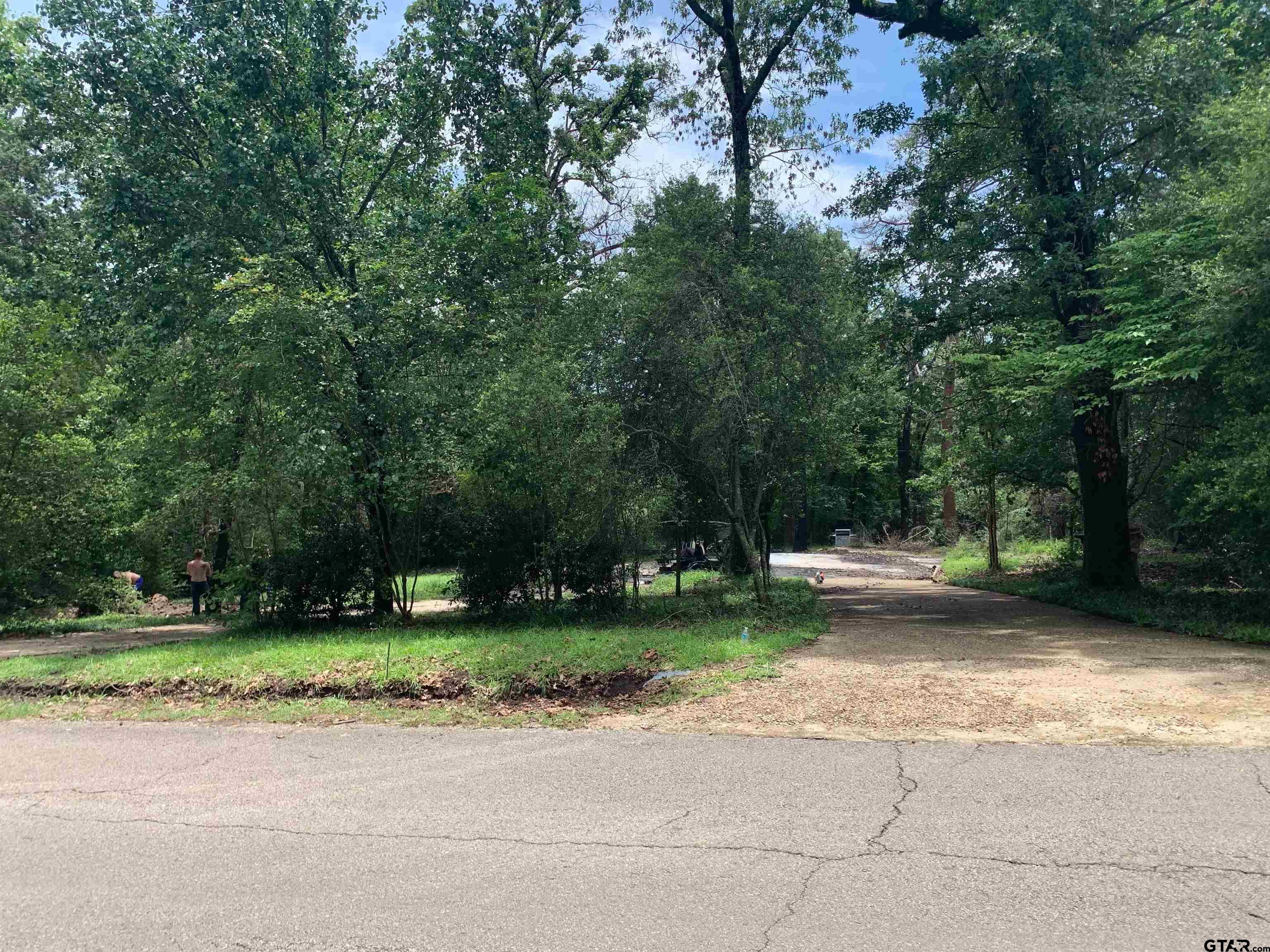 a view of a park with plants and trees