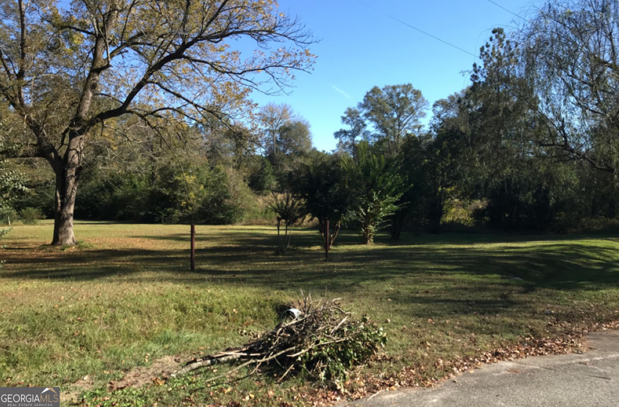 a view of a field with trees