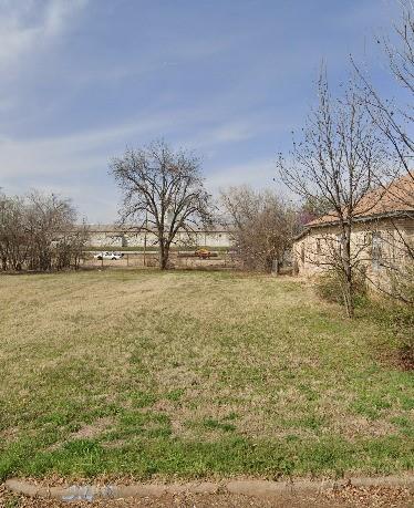 a view of yard with large tree