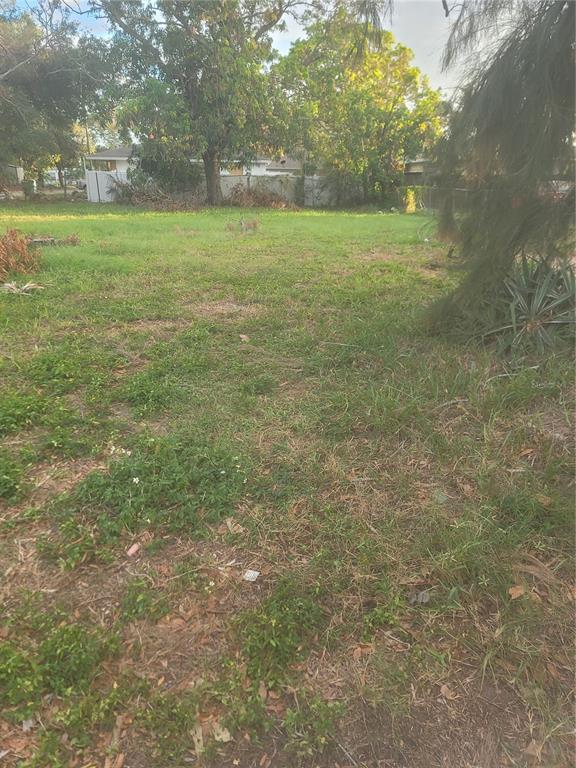 a view of outdoor space with trees all around