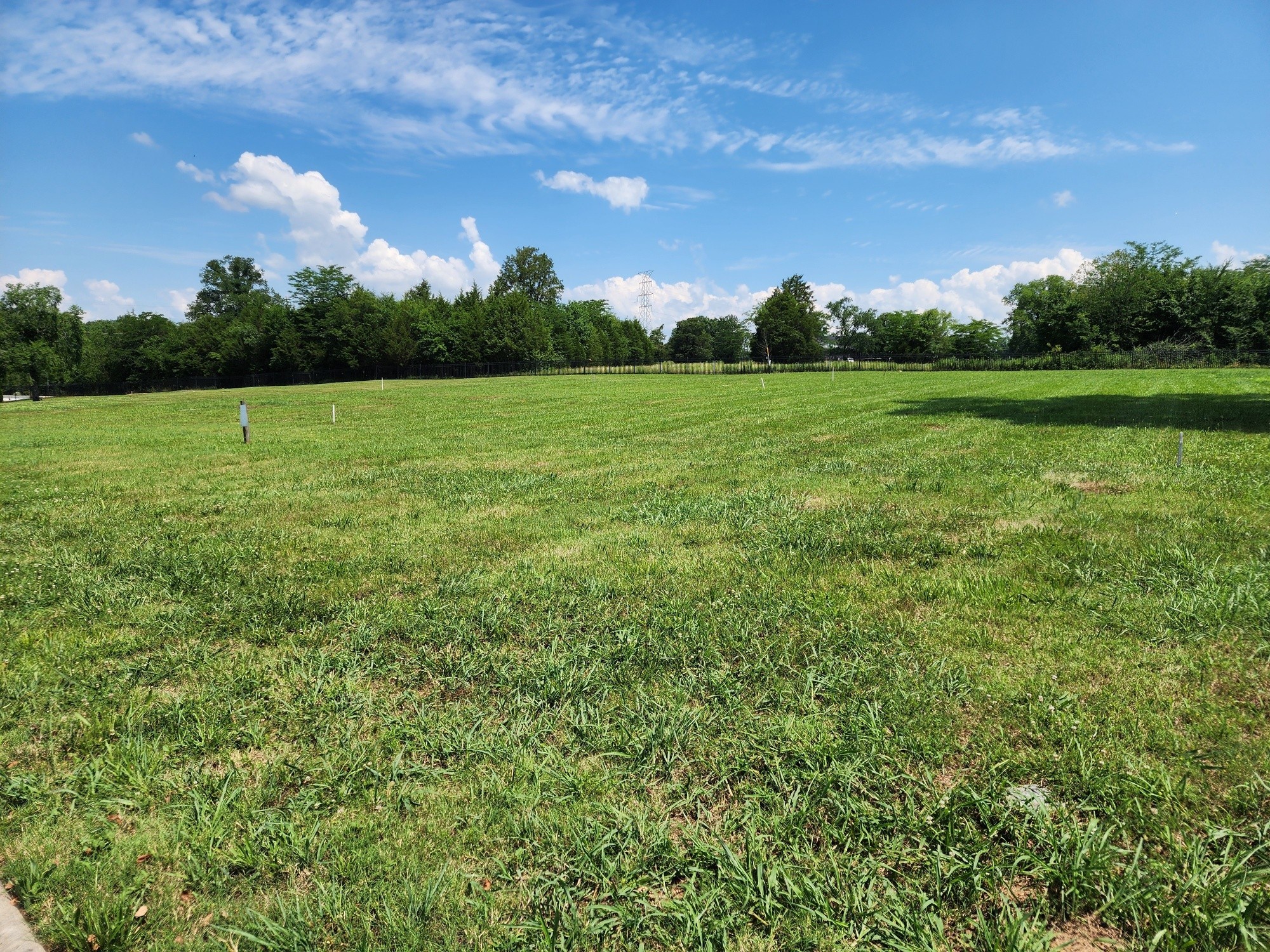 a view of a green field with a big yard