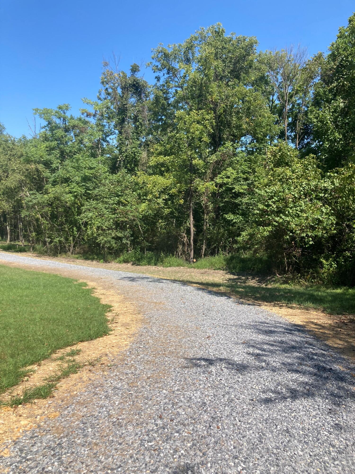 a view of a yard with a tree