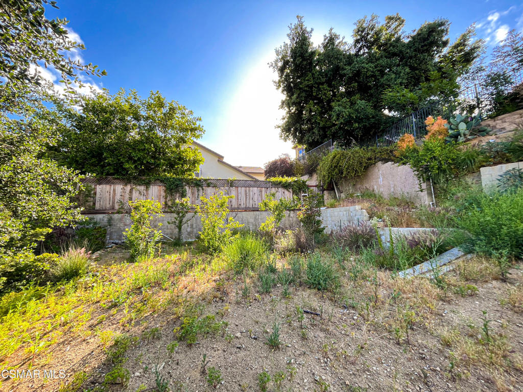 a view of a yard with plants and large trees