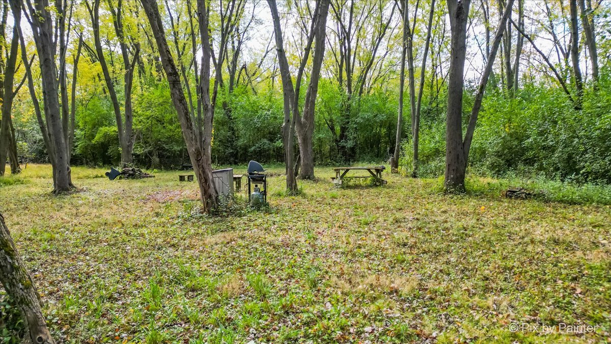 a view of outdoor space with a garden and trees