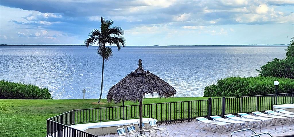 a view of a yard and patio