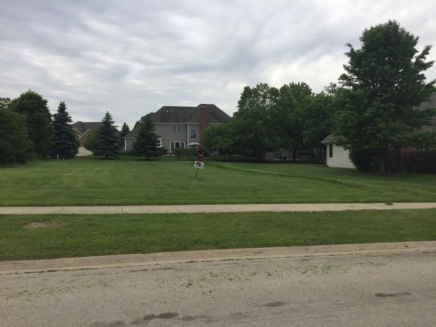 a view of a field with a big yard