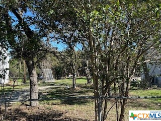 a view of a tree in a yard