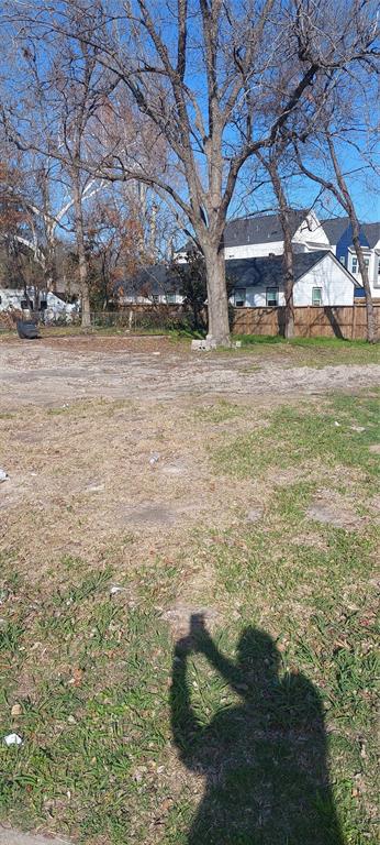 a view of a yard with a tree