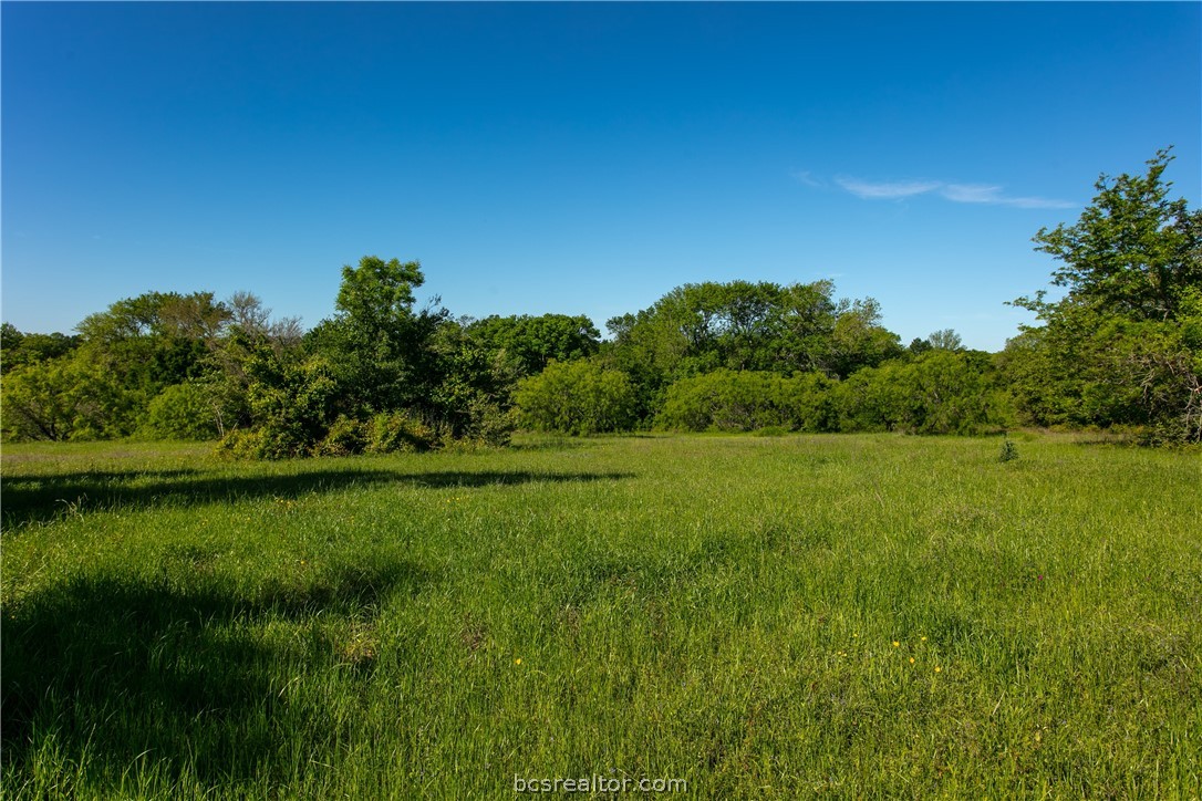 a view of a green field with wooden fence